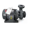 MÁY BƠM TRỤC NGANG DẠNG XOÁY NTP HVP350-13.7 205 3.7KW 380V