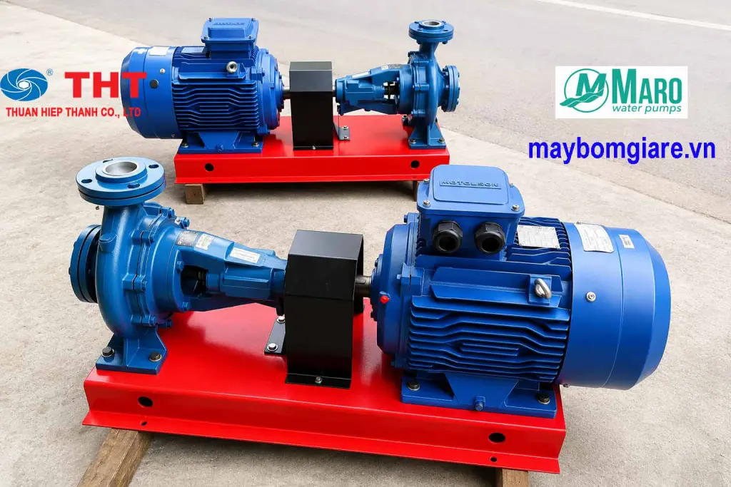 Đầu bơm rời trục Maro