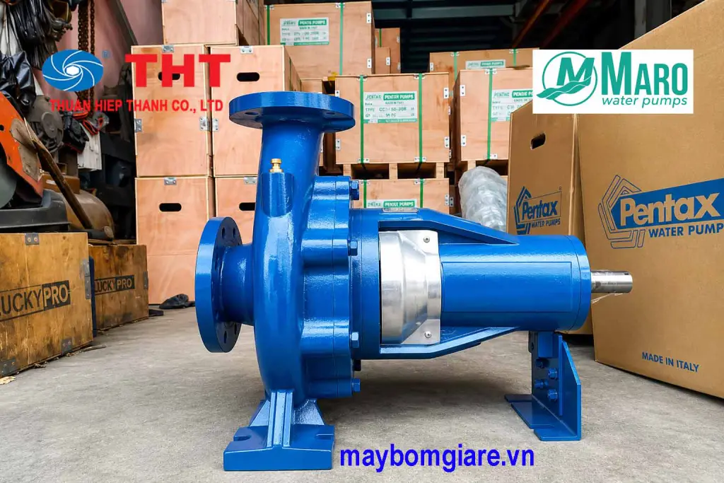 Đầu bơm rời trục Maro
