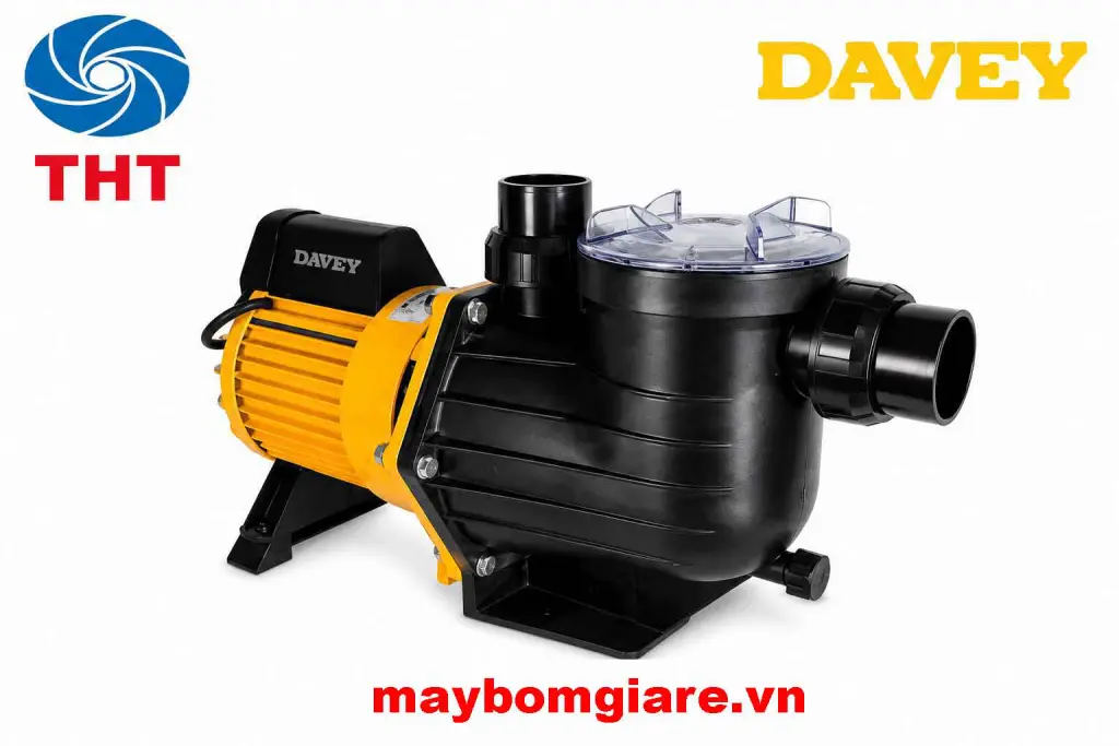Máy bơm hồ bơi Davey