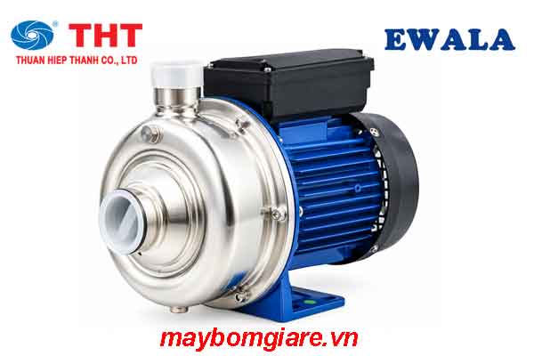 Bơm trục ngang đầu Inox Ewala