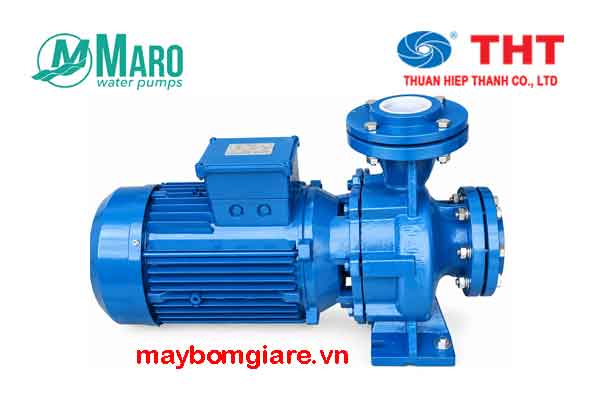 Bơm trục ngang đầu gang Maro