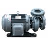 Máy Bơm Ly Tâm Trục Ngang Đầu Gang 2 Pole - IE2 GSD G330-100-2P-30HP