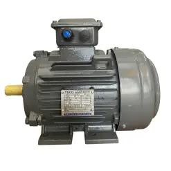 Động Cơ Điện Chân Đế/ Mặt Bích TECO 0.18Kw-110Kw 380V